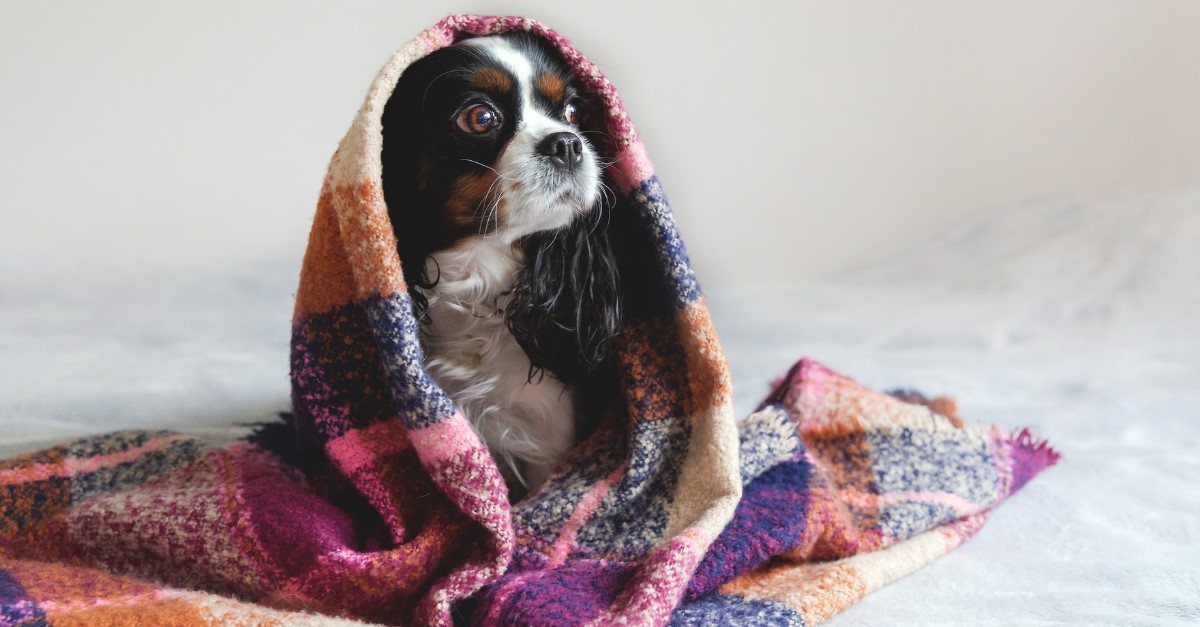 Layering up with warm clothing to reduce heating needs